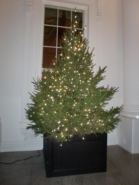 White House Christmas 2009 090.jpg